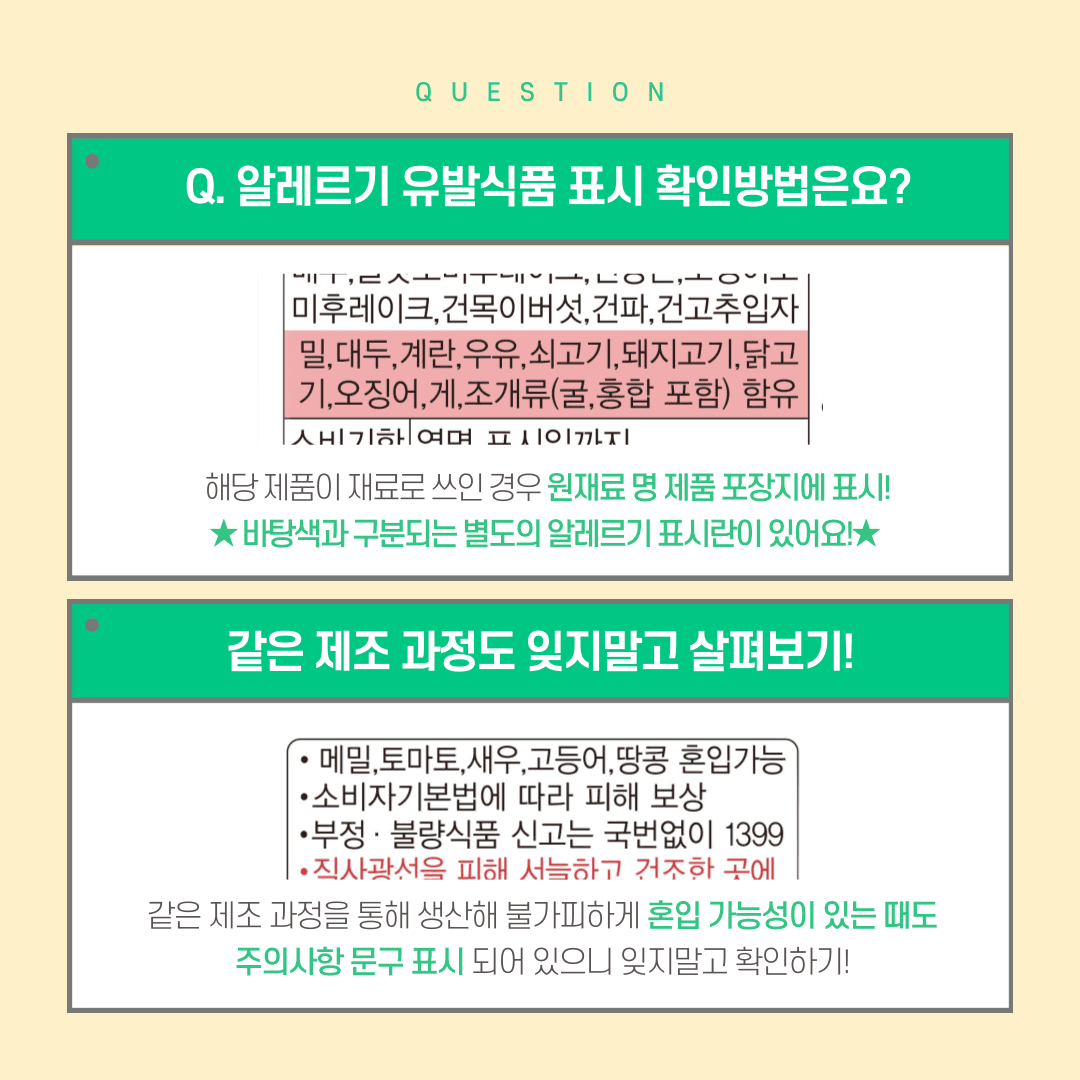 식품 알레르기란?