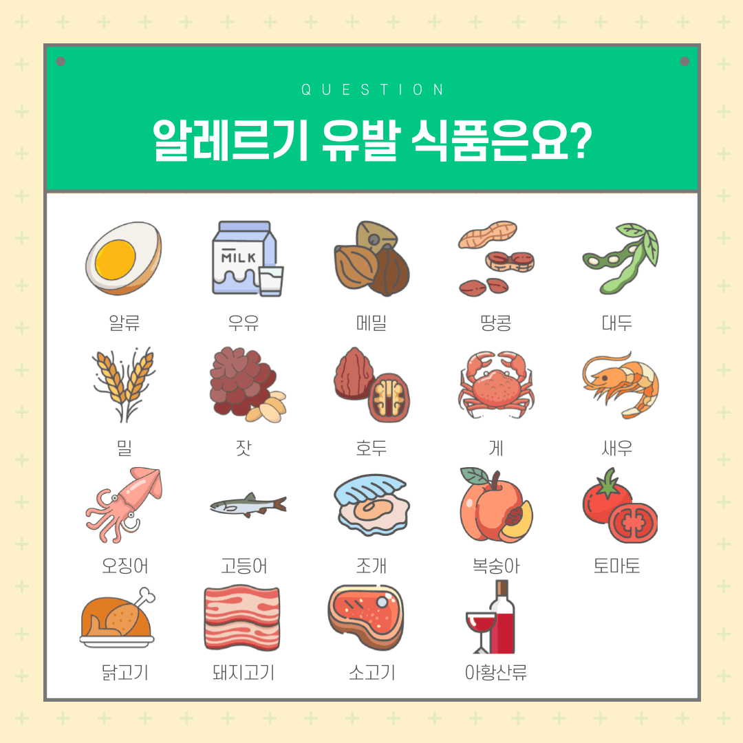 식품 알레르기란?