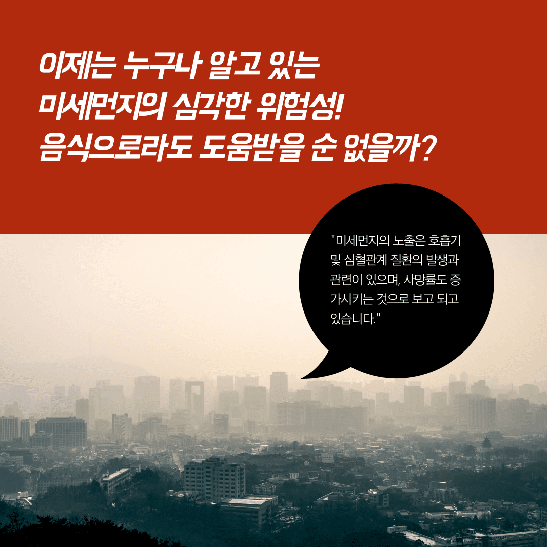 미세먼지에 좋은음식