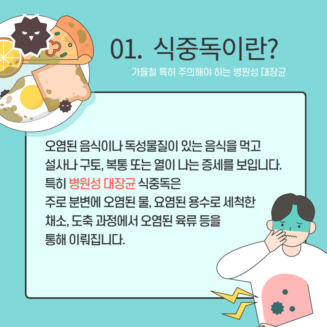 가을철 식중독 알아보기